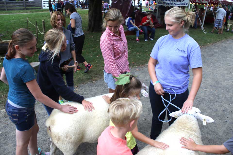 Youngsters pet sheep herded by Victoria Subik of Fonda, right, and her fellow Hartwick College student Kelly Sprague (in red checked shirt) at today's Harvest Fest.