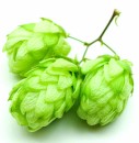 hops