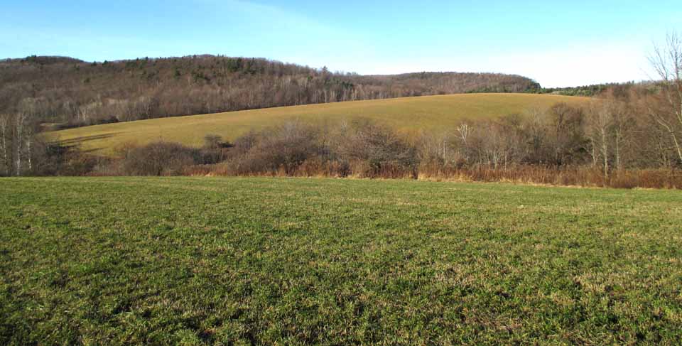 The Graves Farm includes frontage along Cherry Valley Creek.