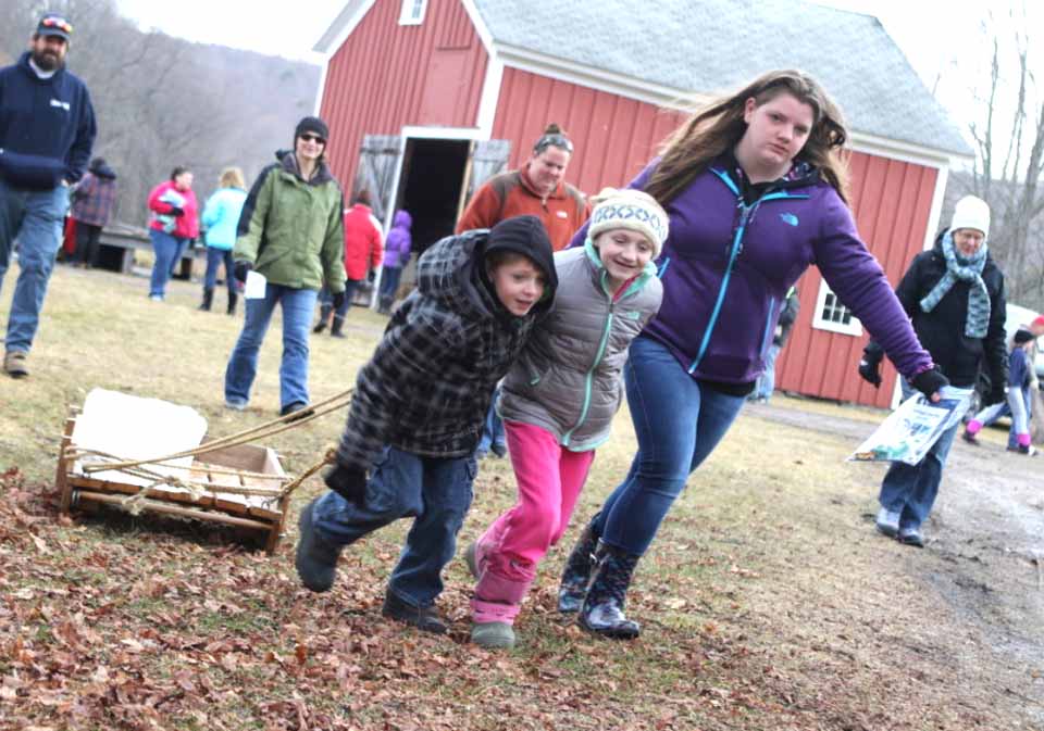 There was no snow on the ground, but the recent cold snap meant there was plenty of ice for harvesting the Hanford Mills Ice Harvest Festival today in East Meredith.  Here, Freddy Cargill, Ella Gerster and Amber Cargill, Davenport, pull a freshly cut block of ice from the pond to the ice house in the East Meredith mill's annual celebration of winter farmtime fun.  The fun continues until 4 p.m. (Ian Austin/AllOTSEGO.com)