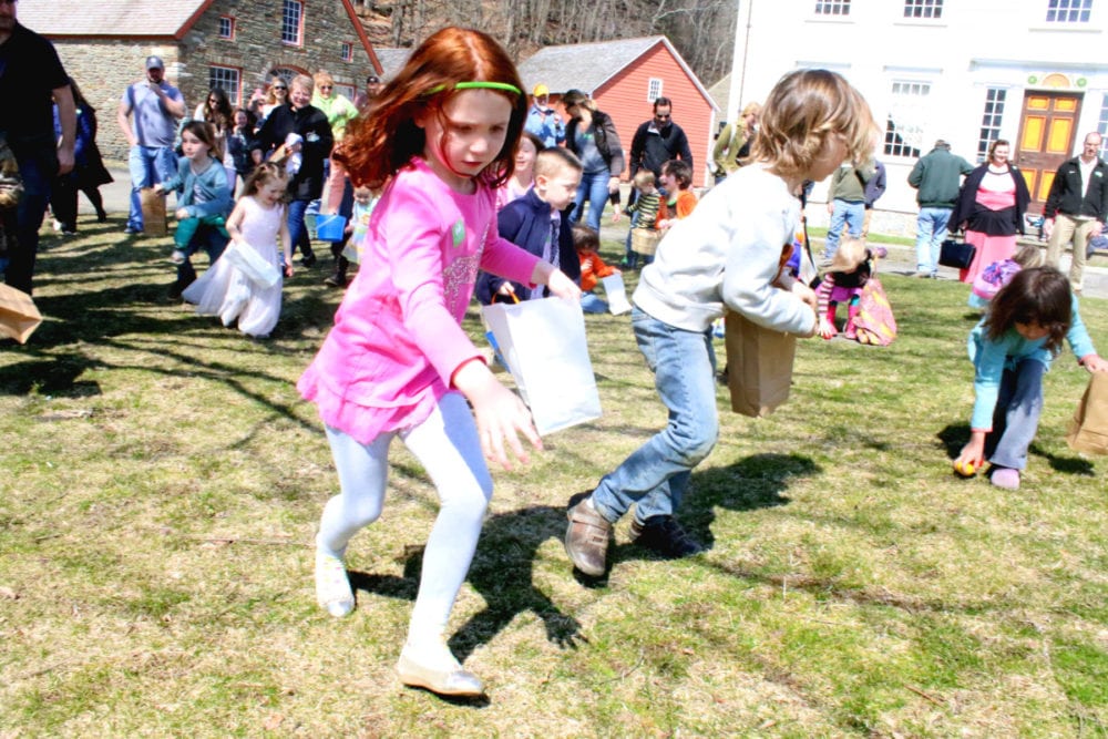 On your mark....get set...GO! Amelia Walker, Cooperstown, and scores of other children race onto common lawn of The Farmers' Museum in search of the golden egg containing a season pass for the Empire State Carousel. However, once all the eggs had been collected, the pass remained at large! Will the ticket surface? Only time will tell! (Ian Austin/AllOTSEGO.com)