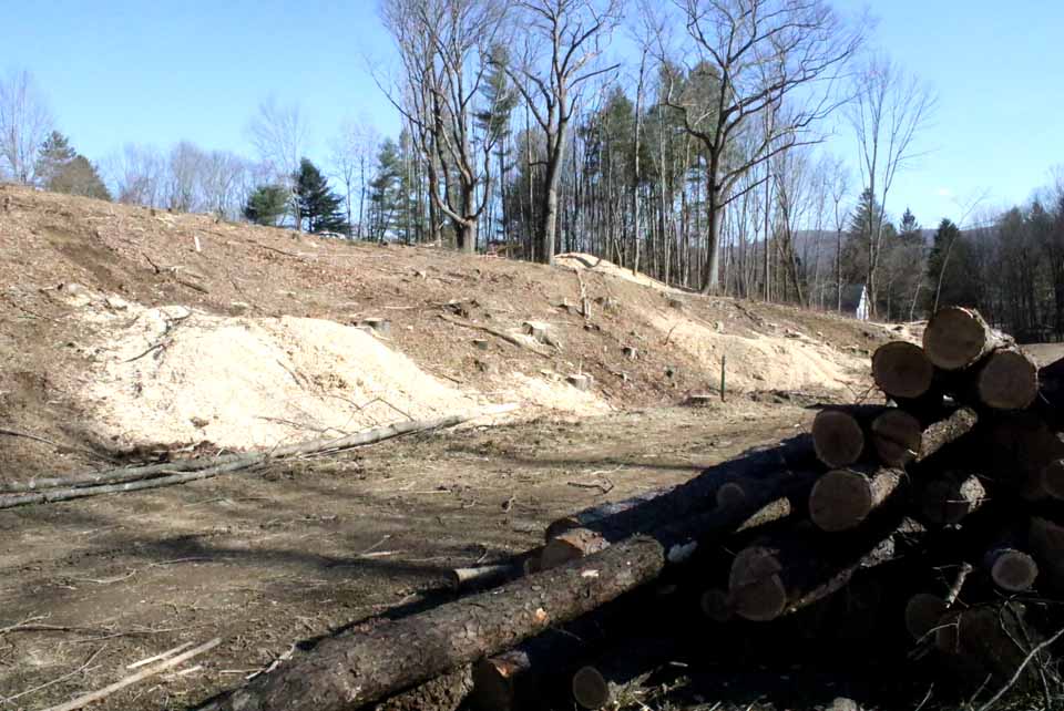 Clearing trees has continued through the weekend at the end of Oneonta's Spruce Street Extension, so work can begin on Oneonta Heights, 40 units of senior-citizen housing and 20 of family housing in the city's Silver Creek section., (AllOTSEGO.com)