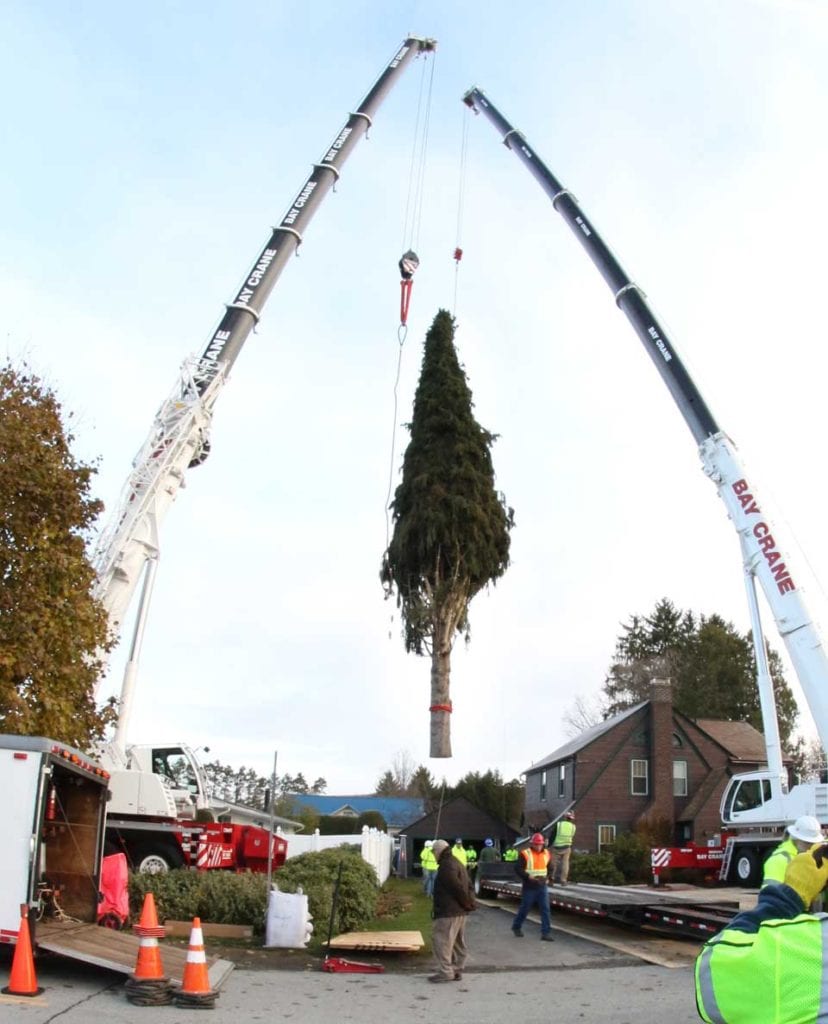 The Eichlers' – and Otsego County's – icon tree hovers above the crowd at County Club Road, Oneonta, this morning before it was lowered on a flatbed for the journey to Rockefeller Center. (Ian Austin/AllOTSEGO.com)