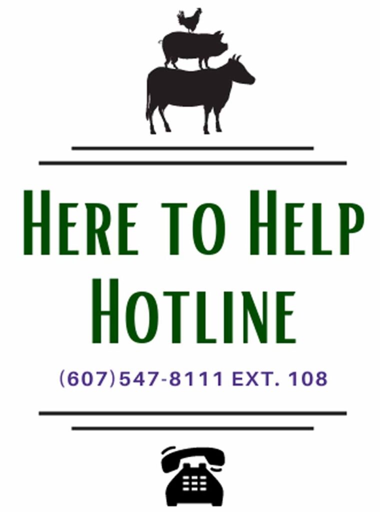 Animal Cruelty hotline