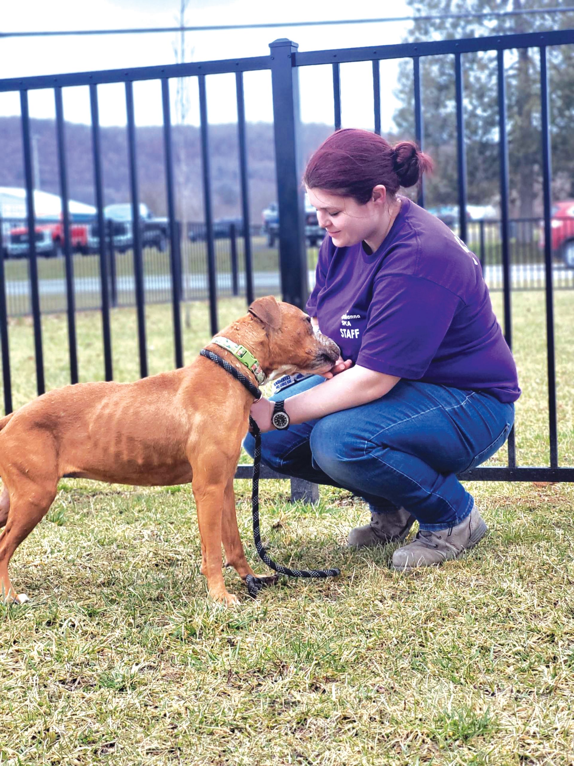 Woman Arrested in Animal Cruelty Case – All Otsego